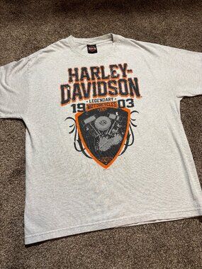 Harley-Davidson Graphic T-Shirt in Gray - XL | Vision Repentigny QC